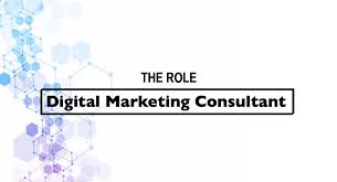 internet marketing consultant