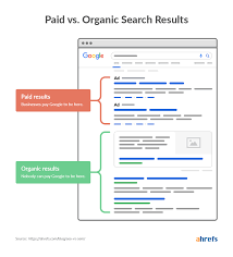 Unlocking the Potential of Organic Search Engine Optimization