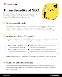 Unlocking the Potential of Organic SEO: A Guide to Enhancing Your Online Presence Naturally