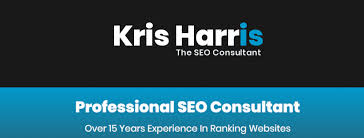 Unlocking Online Success: The Expertise of a Professional SEO Consultant