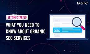 Unlocking Online Success: The Role of an Organic SEO Consultant