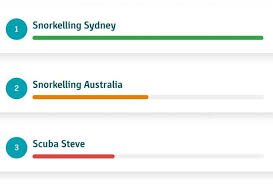 Unlocking the Potential of Search Engine Optimisation in Australia