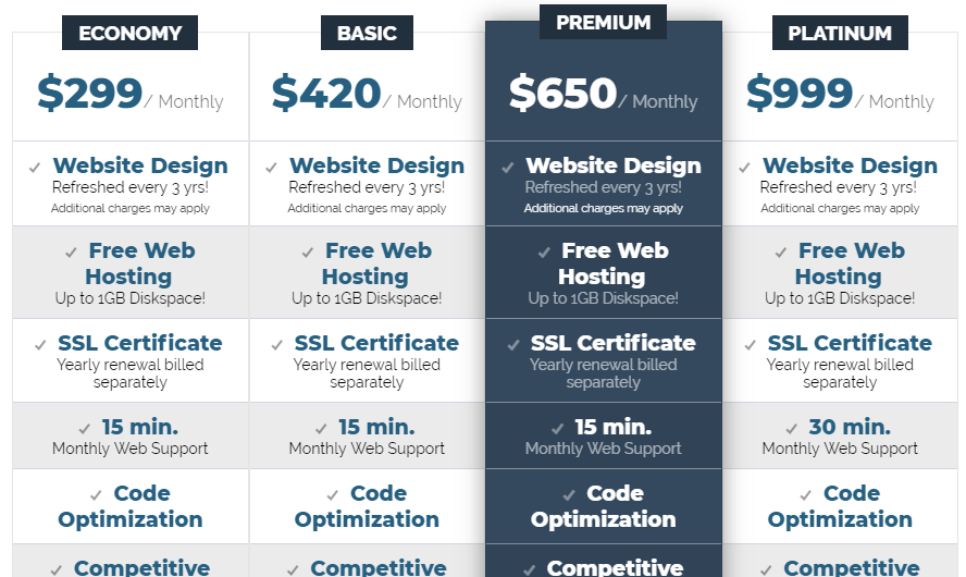Enhance Your Online Presence with Tailored Website and SEO Packages